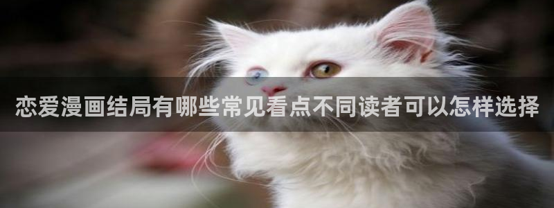 樱花日语新手教程:恋爱漫画结局有哪些常见看点不同读者可以怎样选择