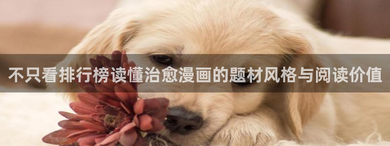 樱花日语常用句型：不只看排行榜读懂治愈漫画的题材风格与阅读价值
